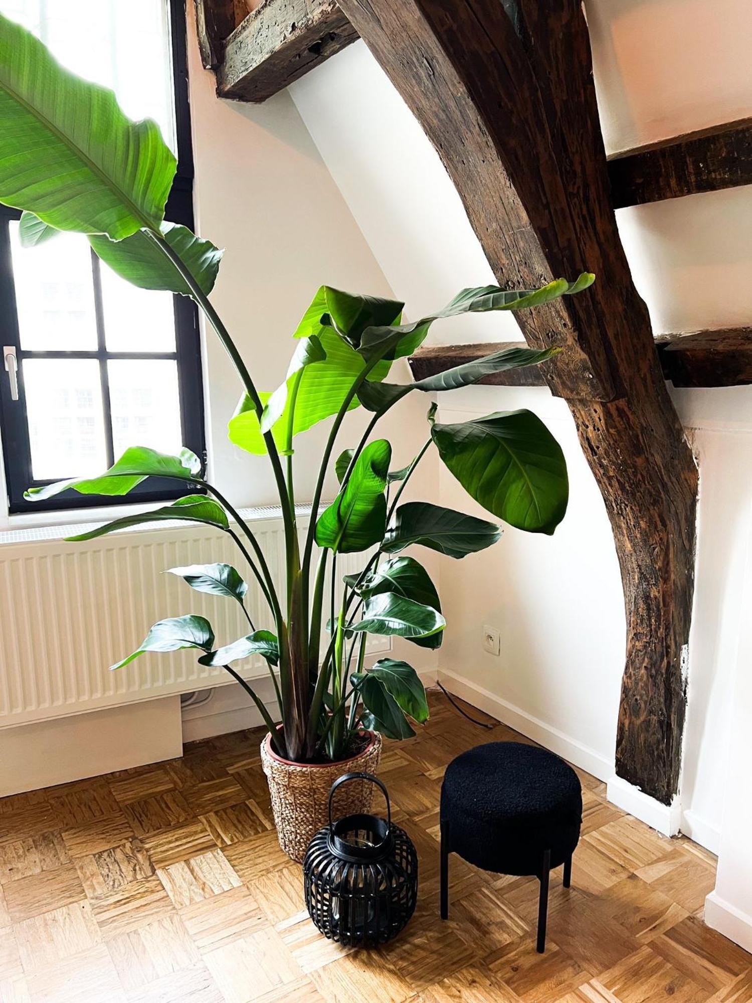 Nammos Home'S Antwerpen Exterior foto